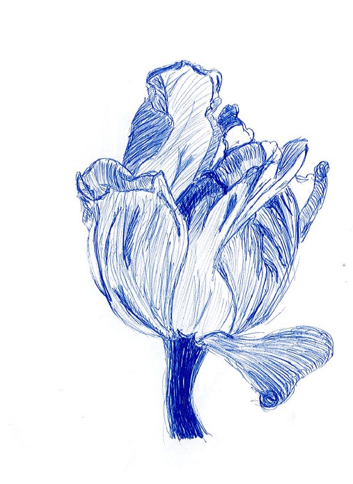 fleur