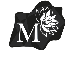 logo remastiriser noir et gris vf