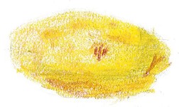 patate