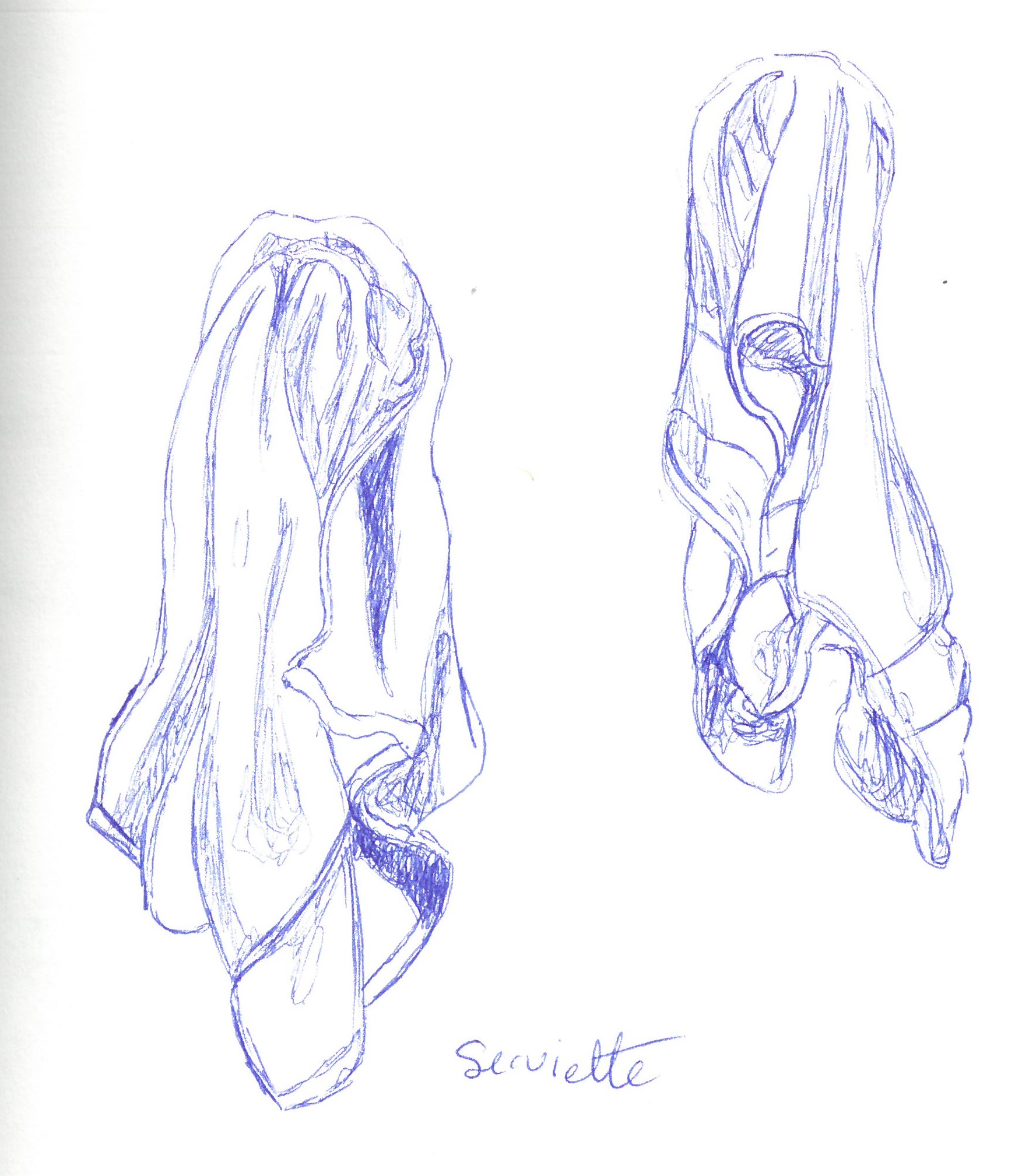serviette